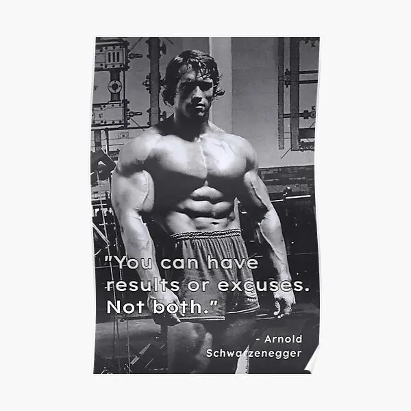 You Can Have Results Or Excuses Not Both  Poster Art Wall Mural Print Decoration Painting Home Vintage Funny Modern No Frame