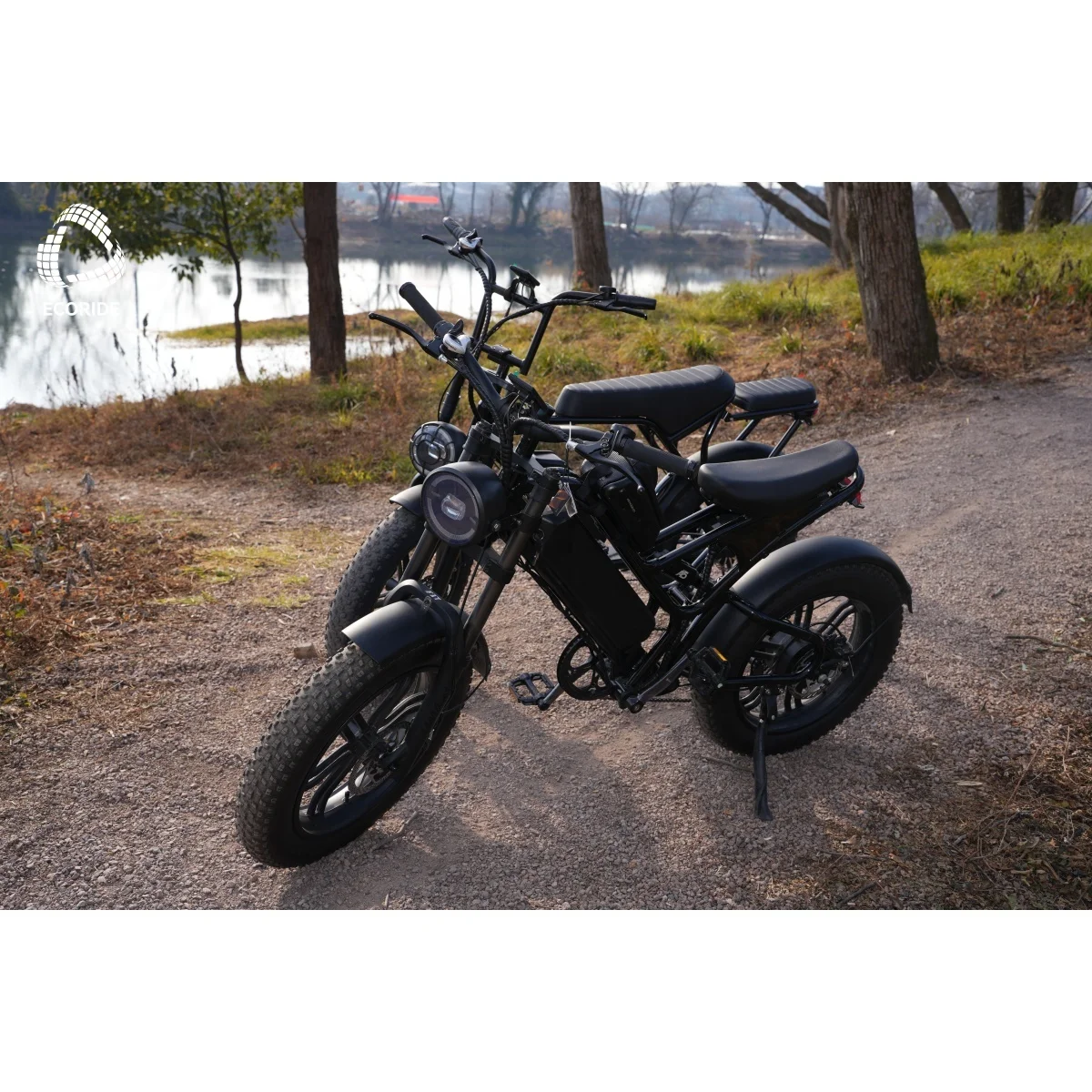 

Electric Bicycle Ecoride Factory 750W Electric Dirt Bike 20ah E Bikes V10 Electric Bike Adult