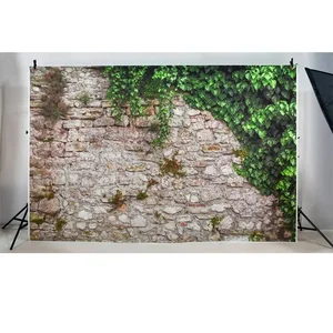 6 Hauptverkauf rustikaler fotografischer Hintergrund - №6