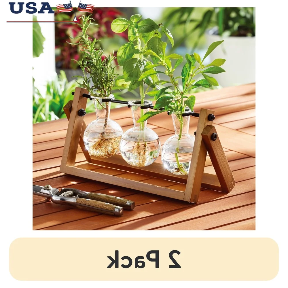 

2 Pack Glass Wood Propagation Station Natural Wood Frame Bulb Vases Plant Cuttings Display Stand Home Office Decor Gift