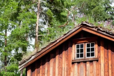 

Шины для радиоуправляемых моделей 1/10, 65 мм, для ралли и дрифта, для гоночных автомобилей Tamiya TT01 TT02 XV01 XV02 PTG-2 HSP HPI Kyosho