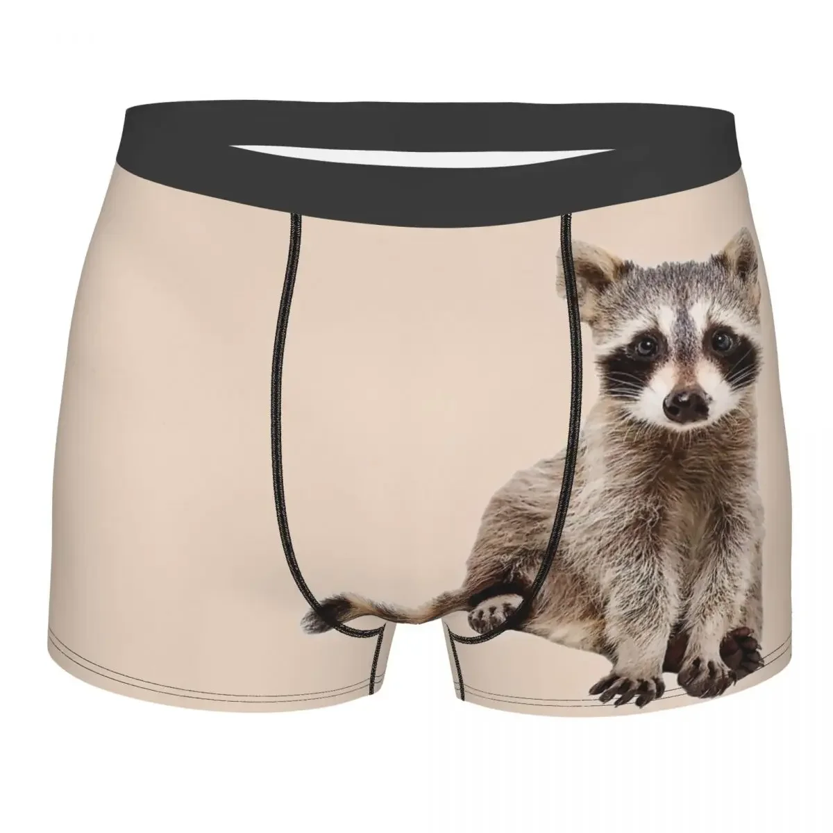 A Little Raccoon Sits Funny And Looks At You Underpants Homme Panties Male Underwear Sexy Shorts Boxer Briefs