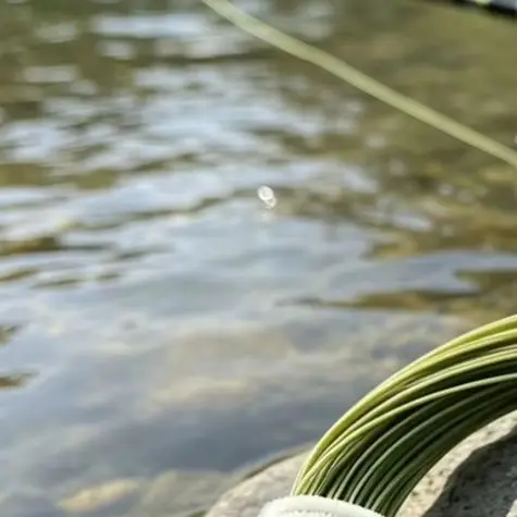 WF Sinking Fly Fishing Line 100FT Weight Forward 3IPS Moss For Green 2 Welded Loops For Stream River Trout Bass Salmon Tackle