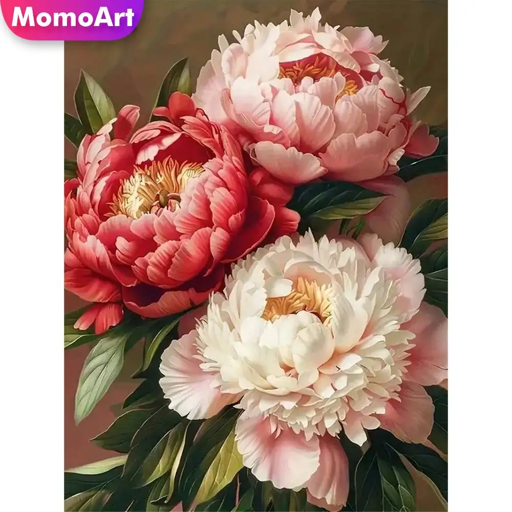 yZ[zMomoart L_ChG擮Jtȃ_ChUCN摜CXg[[Ǒ