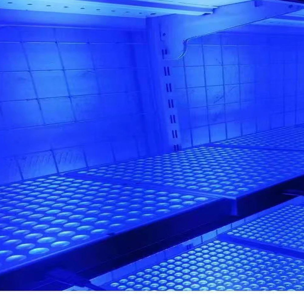 45W UV Face Tanning Lamp 460nm Wavelength 226PCS Blue Light Lamp Professional Solarium Tanning Machine Skin Care