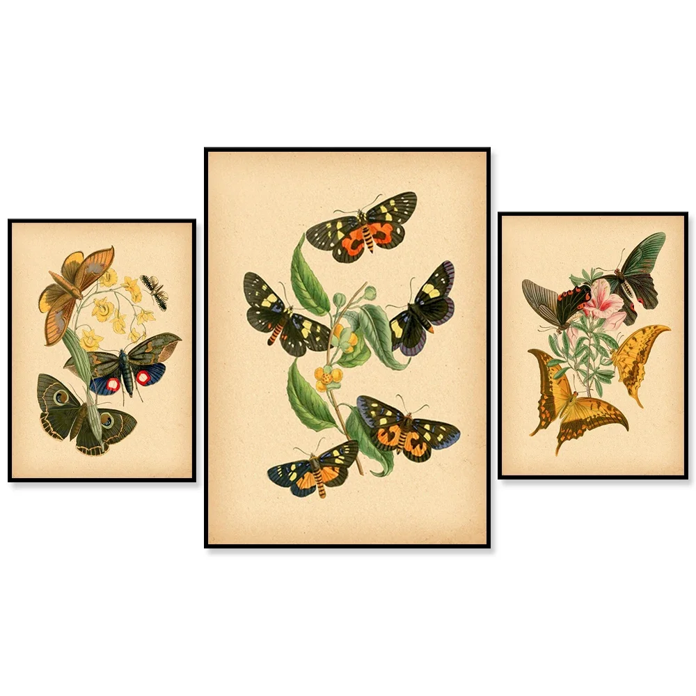 Vintage Papillon Et…