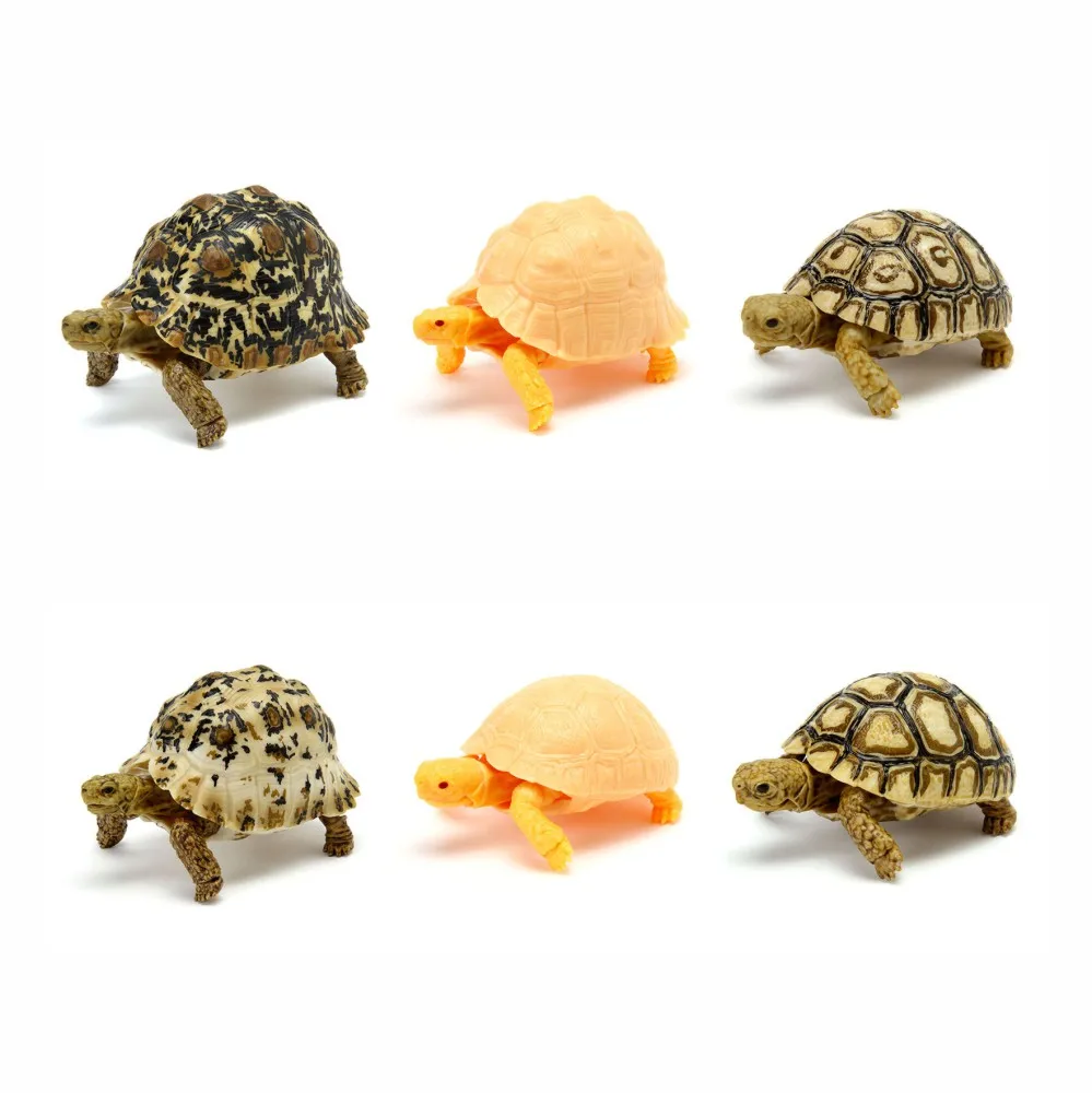 BANDAI Biological Encyclopedia Action Figures Model Amphibians Leopard Tortoise Gashapon Ornament Genuine Collect Ornaments