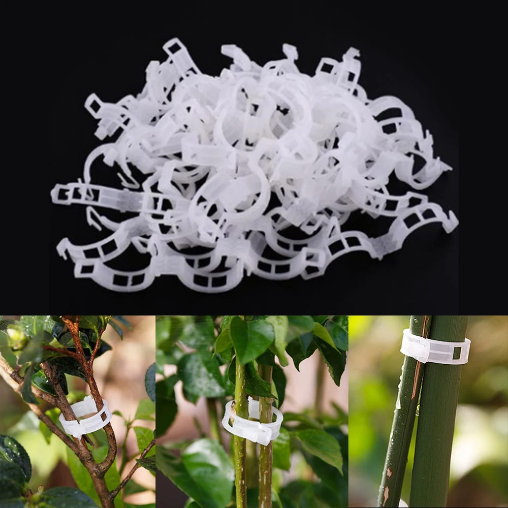 

50Pcs Plant Clips Plant Fixing Clips Garden Plants Flowers Tied Bundle Branch Clip Clamping Tools Garden Supplies