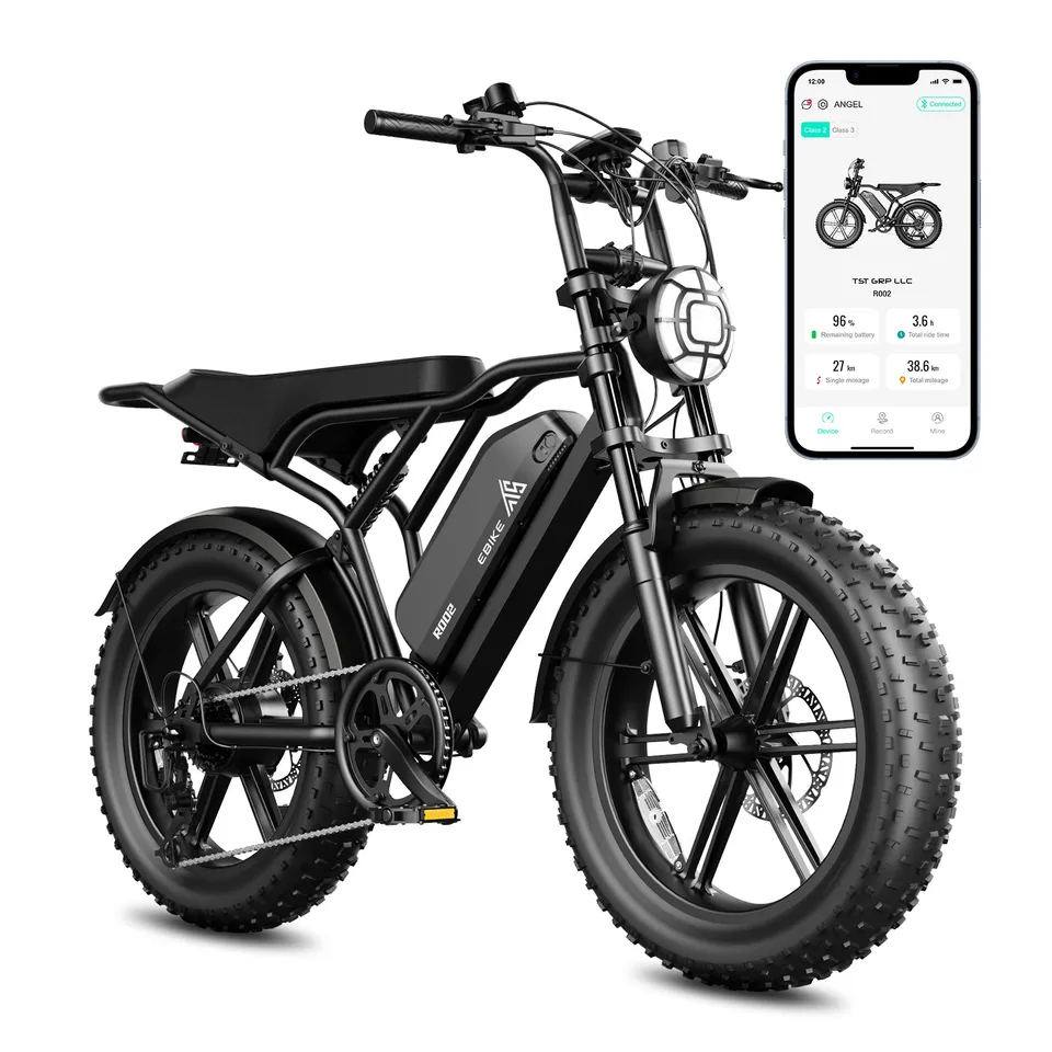 R002 48V/15AH Dual Suspension 20" Fat Tire Electric Bicycle Adult Ebike NEW image 2