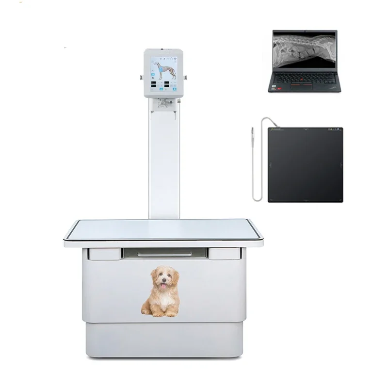 Floor-Mounted 5.6kw Digital DR Veterinary X Ray Equipment Animal X Ray Machine