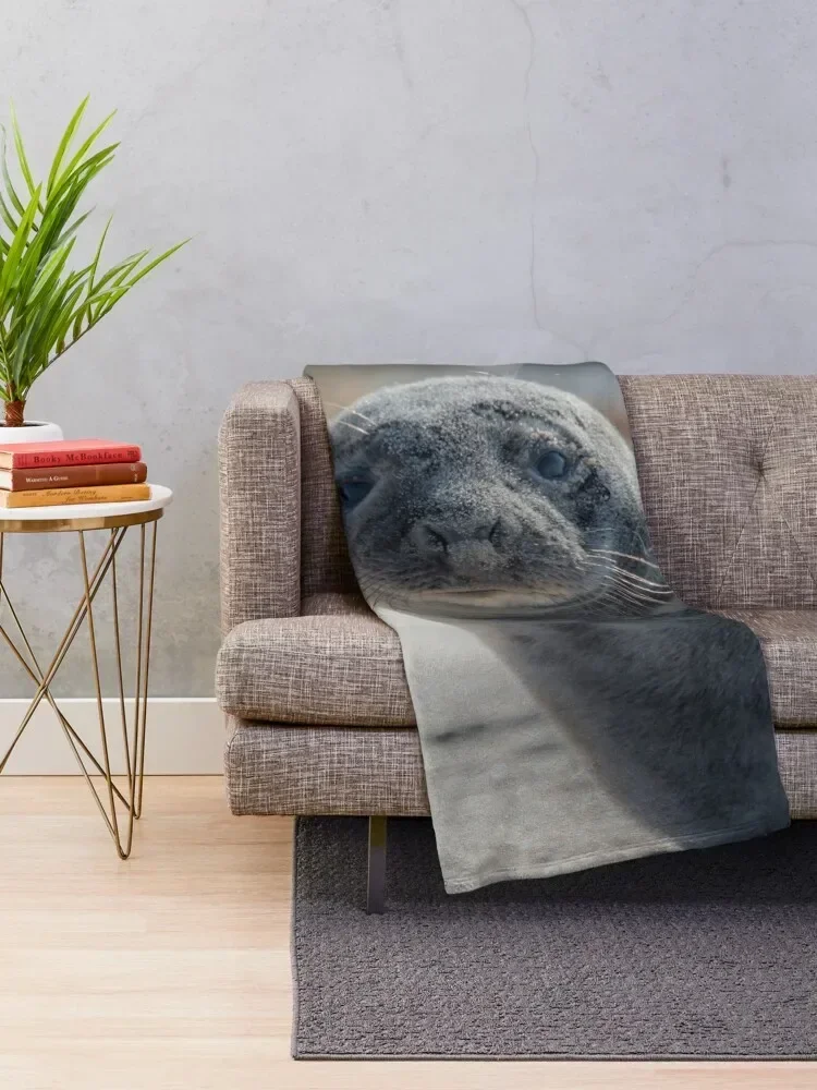 Sweet Baby Seal on a Beach Looking At You with Big Eyes Throw Blanket Heavy Warm blankets ands Blankets