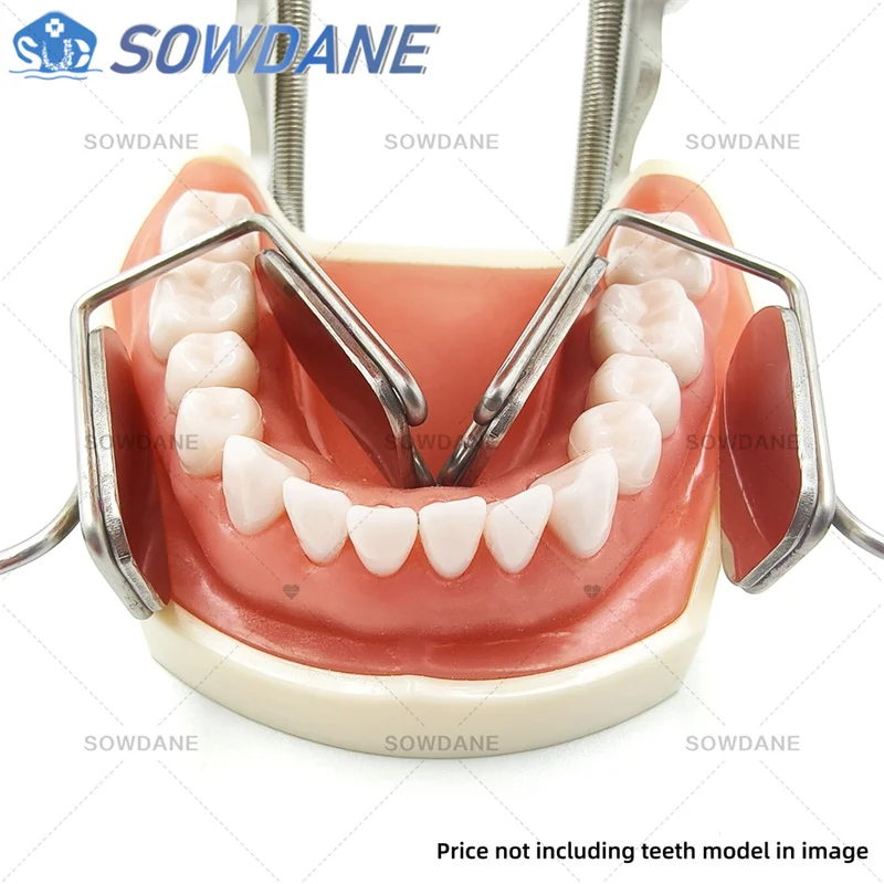 

New Dental Lip Cheek Isolator with Mirror Intraoral Cheek Right Left Lingual Separator Mouth Opener Orthodontic Surgical Tool