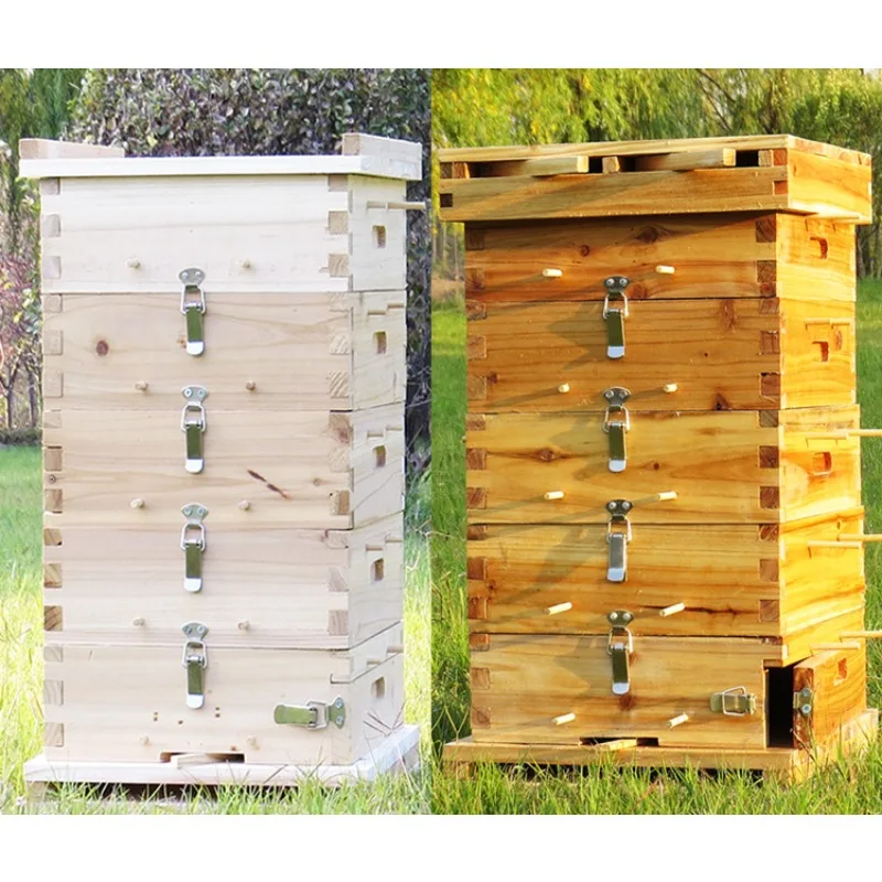 Bee grid beehive, soil beekeeping and luring beehive, beehive breeding, grid box, five layer box, gold bee tool