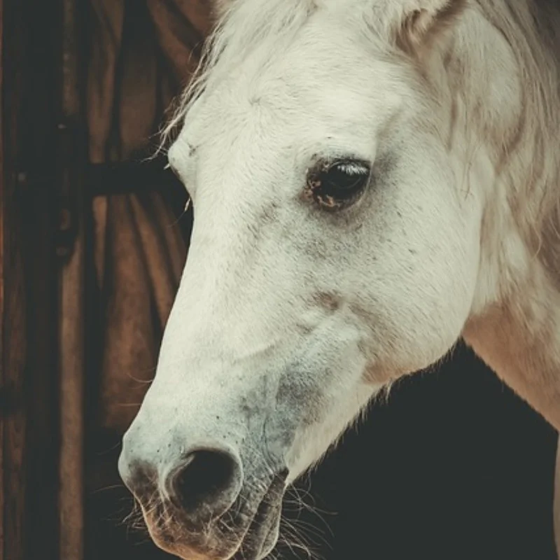 

Diameter 27mm Metal Wheel Hub Tire for RC Car 1/24 1/28 DriftArt DA4 DLR8 Wltoys K969 HGD1 XRX DRZ ATM DB Mini-Q