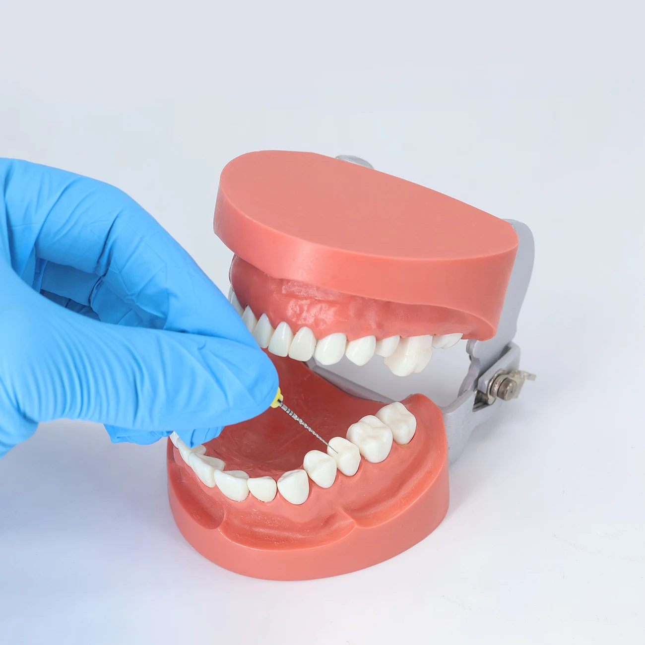 TJDent 1Box Dental Hand Verwenden NITI Reamres Dateien Pro Super Rotary Datei 21mm/25mm SX-F3 Zahnmedizin Wurzelkanal Dateien Gestaltung Werkzeuge
