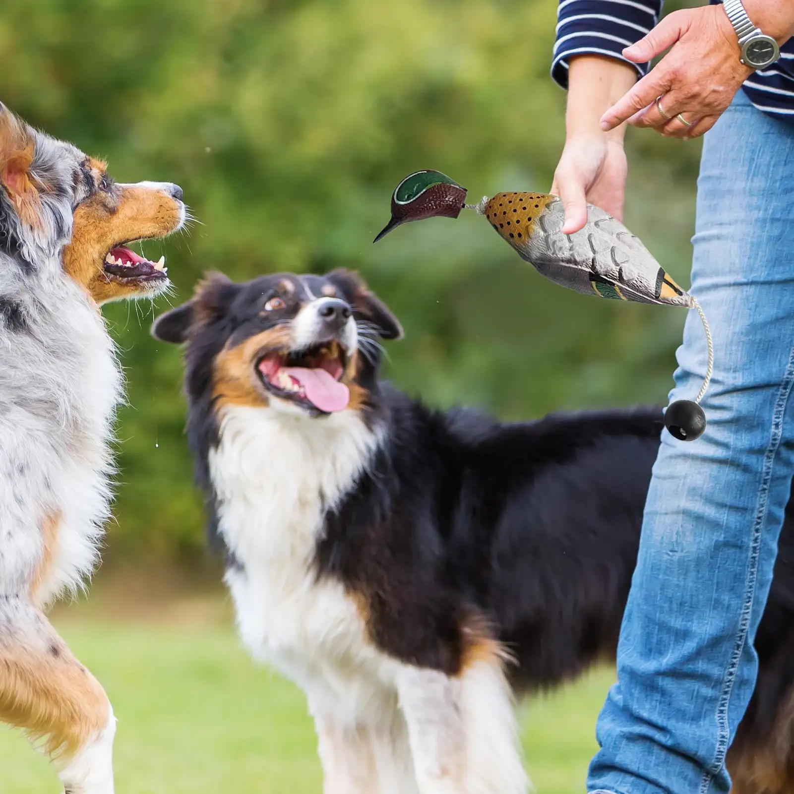 Dog Bumpers For Water Retrieving Pheasant Dog Toys For Hunting Retriever Scent Floating Decoys Fowl Trainer Interactive Pet