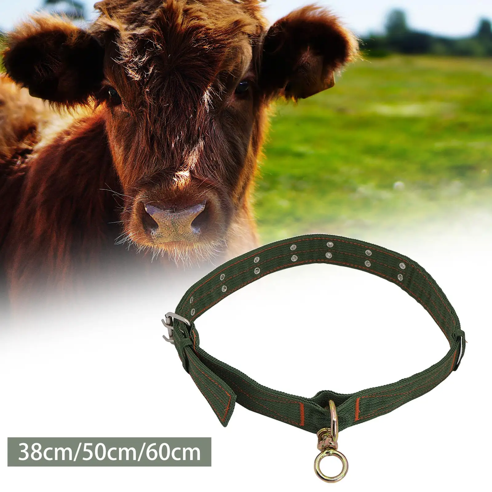 Cow Neck Collar Adjustable Horses Neck Ferrule 2 Rows Metal Buckle Chain Neck Wrap Cow Neck Belt for Camel Animals Pets Sheep