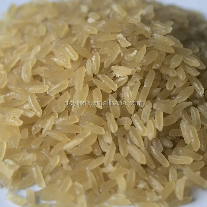 大型産業用自動インスタント栄養米製造機サプライヤー 1000kg/時 栄養米精米機