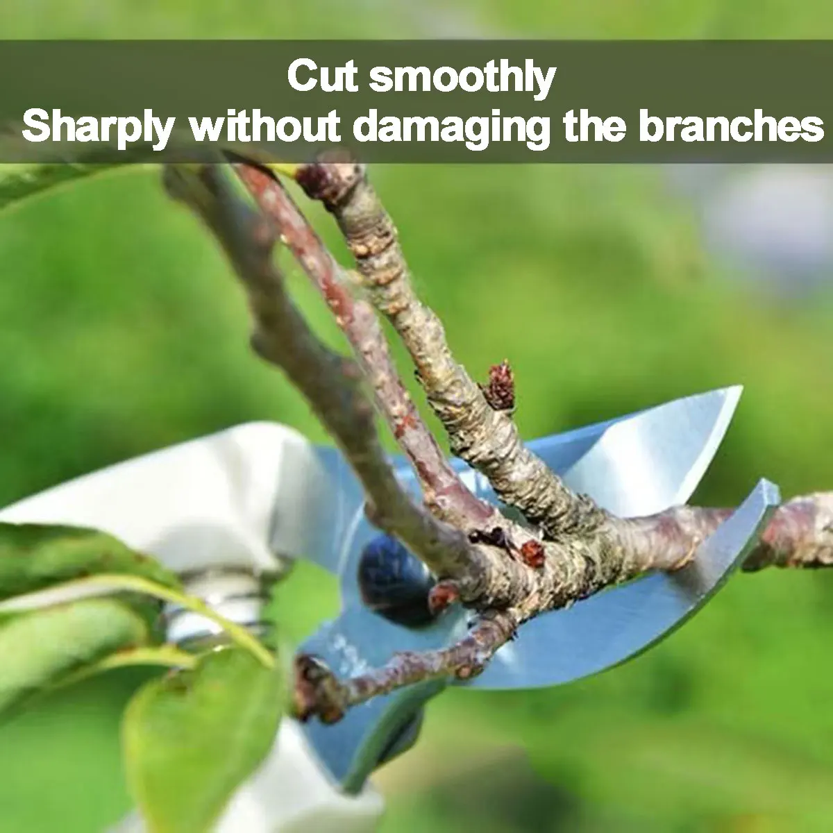 

Pruning Knives Fruit Tree Garden Branch Cutting Household Grafting Tools Stainless Steel Scissors for Flower Cutting Arrangement