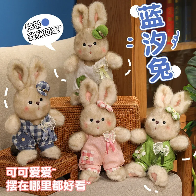 Creative Dressed Bu…