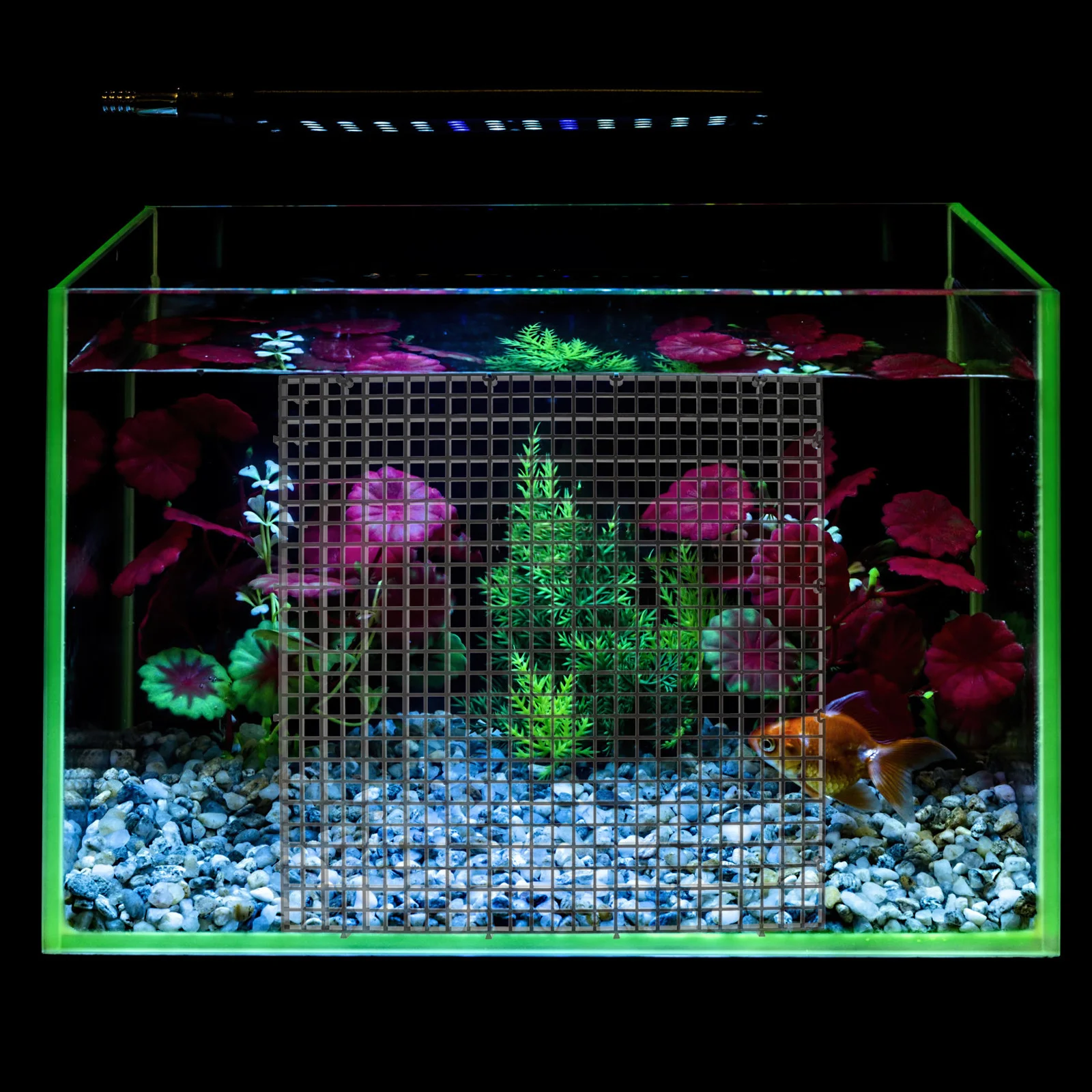 

1 set 1 Set Of Aquarium Grid Dividers Plastic Filter Boards Fish Tank Bottom Partition Nets With Multi-Hole Design For Easy