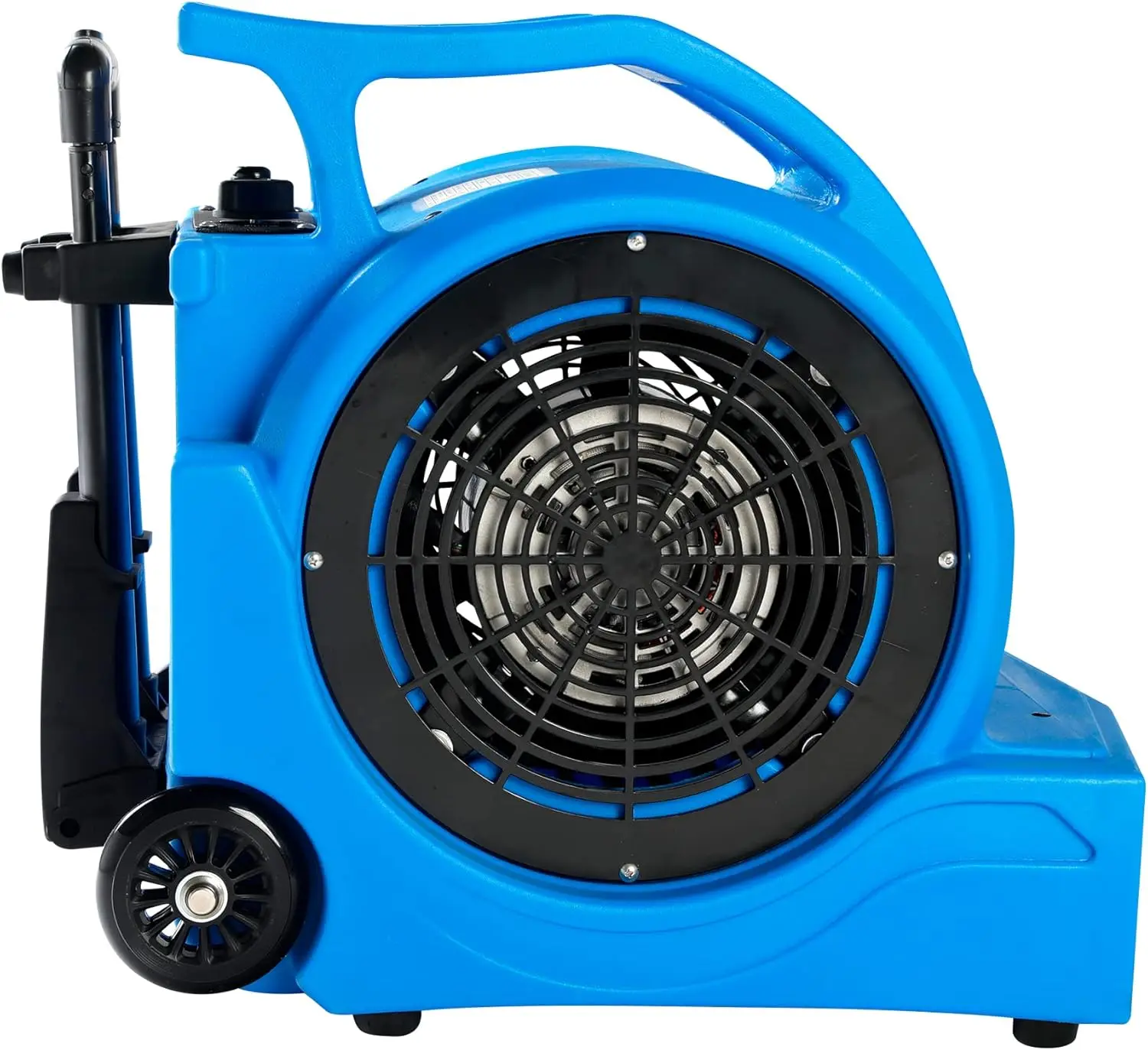 Bodenteppichtrockner mit Griff, Radsatz (blau)