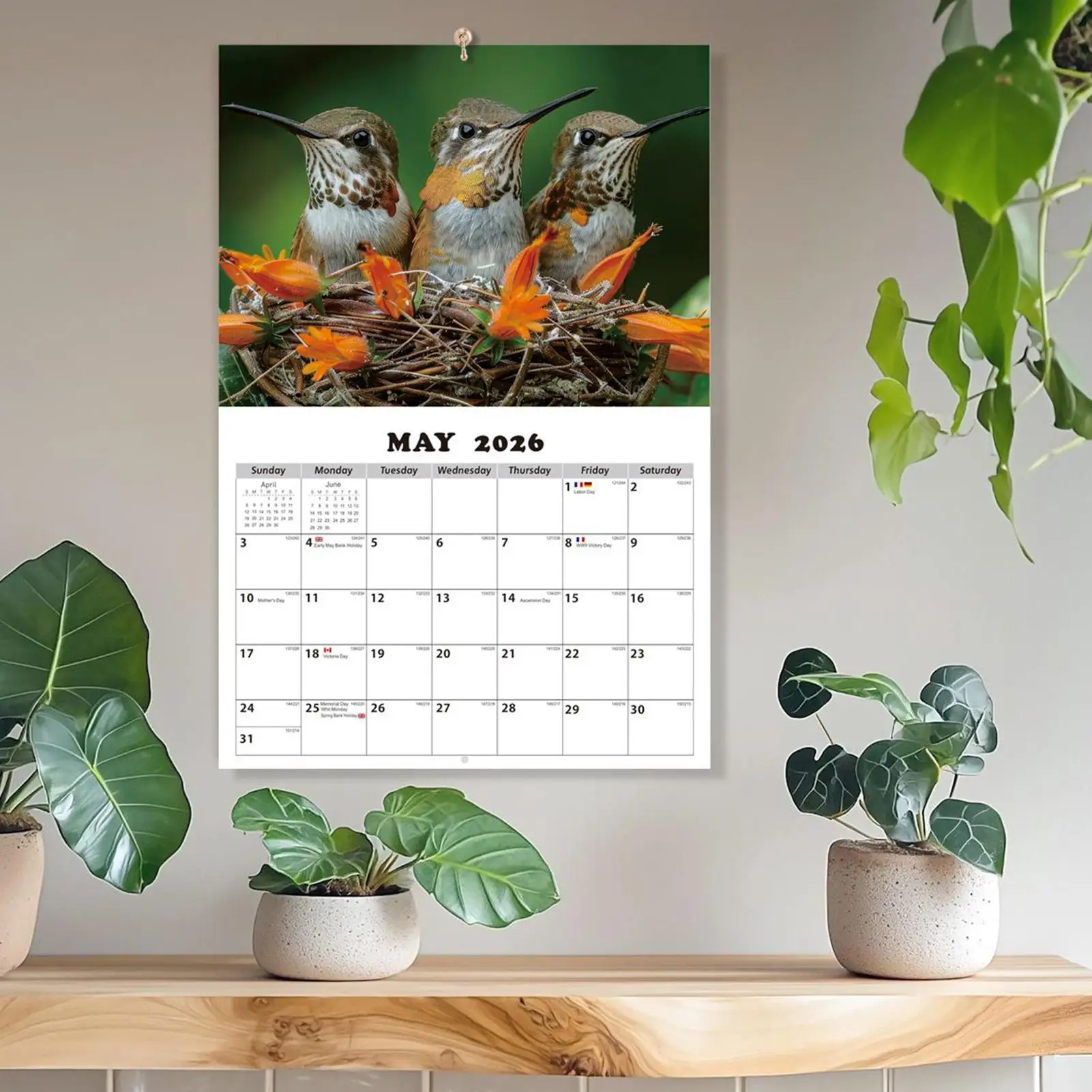 2026 Hummingbird Calendar 13-Month Calendar With Hummingbird Patterns Jan 2026 Jan 2027 Wall Planner For Nature Enthusiasts Bird