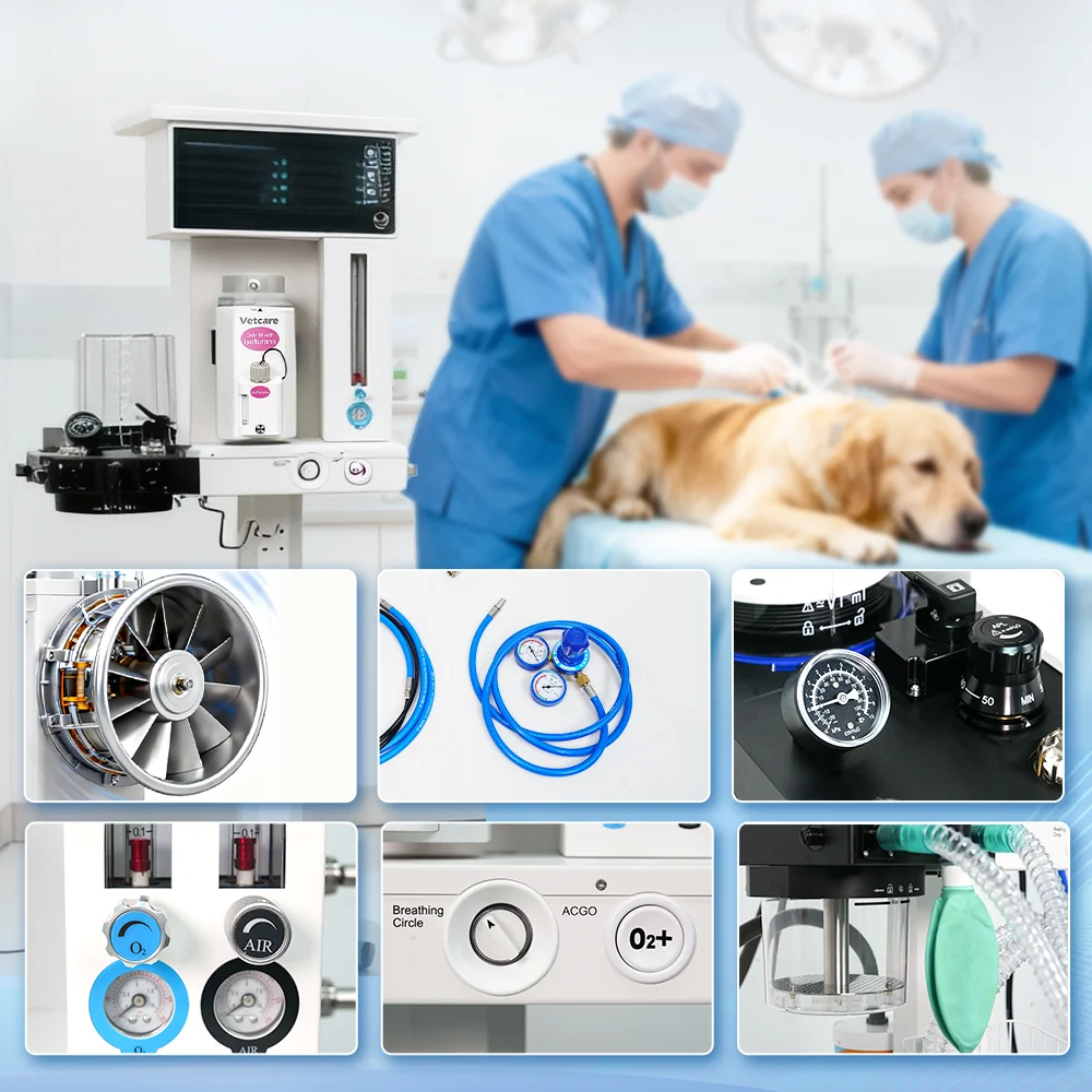 VETCARE Integrated Monitoring Of Veterinary Anesthesia Ventilators For Comprehensive Respiratory Management