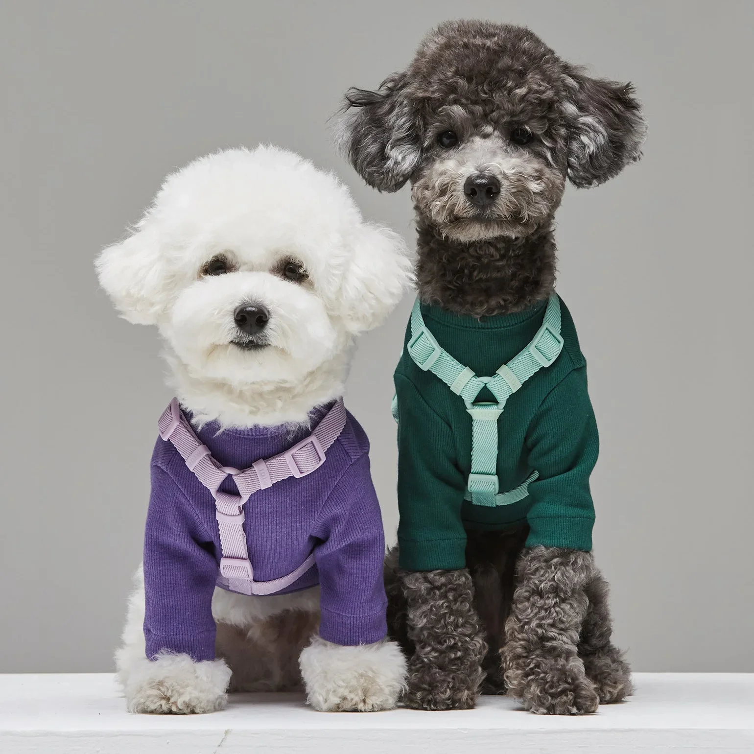 Macaron Series Dual Head Pet Harness Leash Set Adjustable Dog Harness Vest For Small Medium Dogs Leash Fashionable Pet Supplie