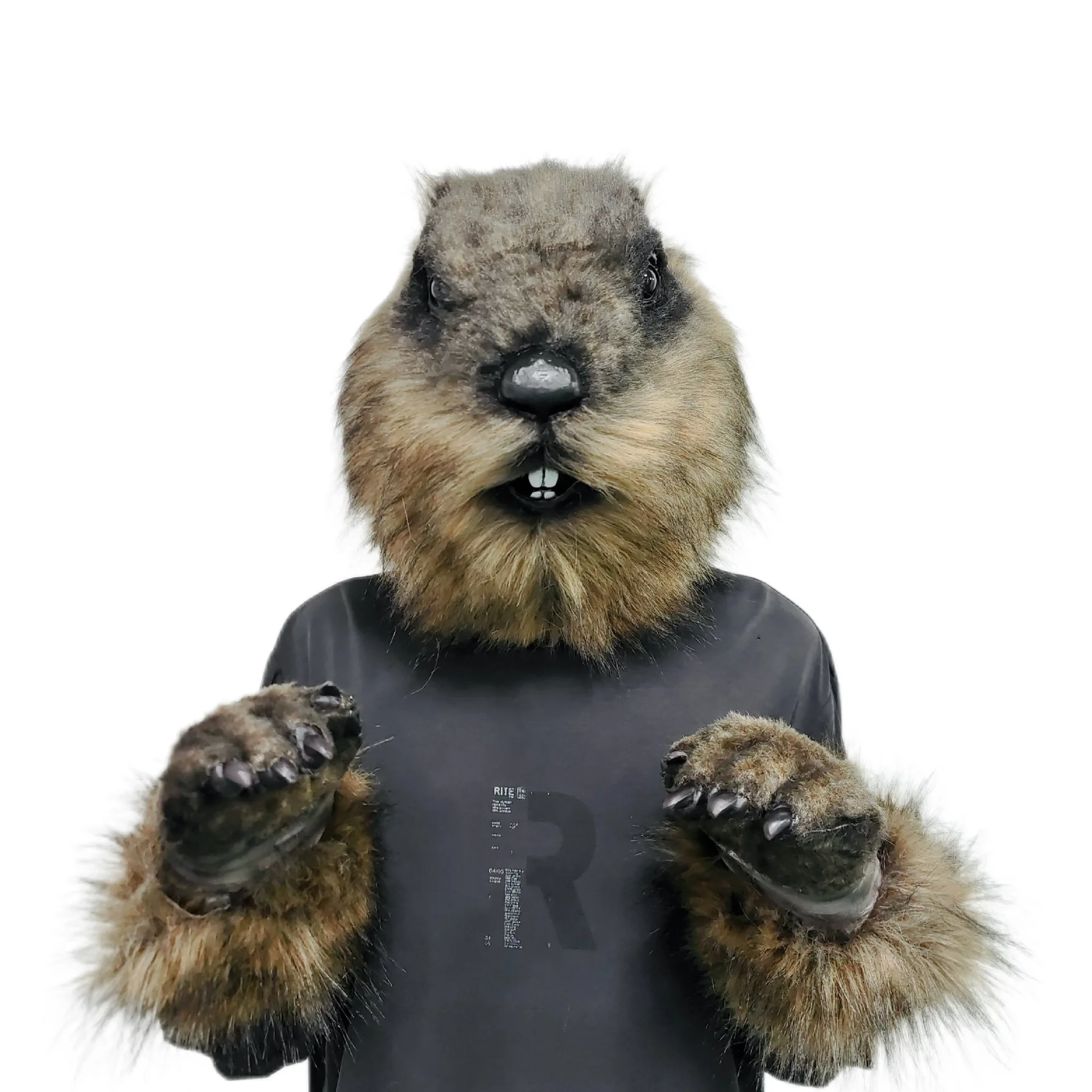 Groundhog Mask+gloves Set Halloween Cosplay Latex Marmot Helmet for Men Women