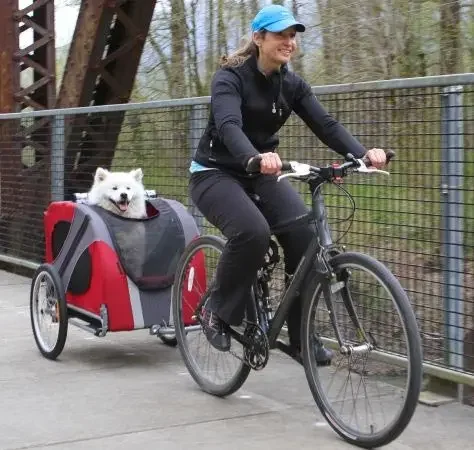 Cochecito de remolque de bicicleta para niños, Camper al aire libre, 2 ruedas