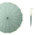 60cm-Aqua Green