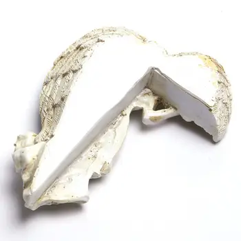 家居裝飾創意時尚工藝品樹脂天使工藝品門框裝飾翅膀天使帶翼女神花園門裝飾禮品 8 最佳銷售 天使裝飾 - №4