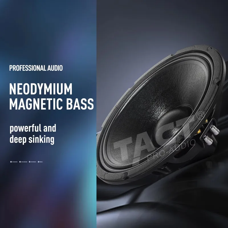 Pro Audio Dual 12 pollici Professional Audio Line Array Pa System Apparecchiatura audio per esterni