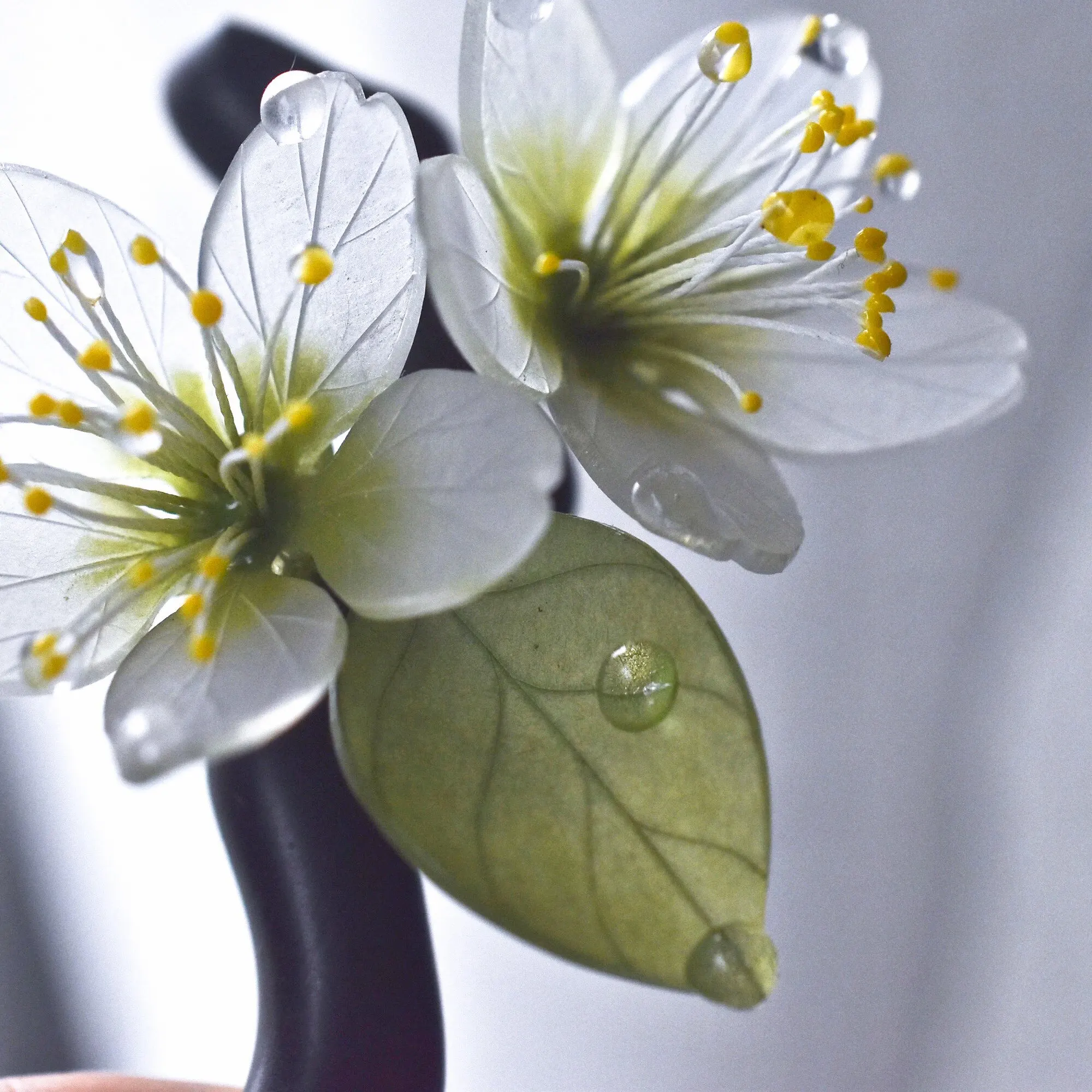 Elegant pear blossom sandalwood hairpin for women, a perfect gift. Chinese-style hair stick for updos. :without tassel.