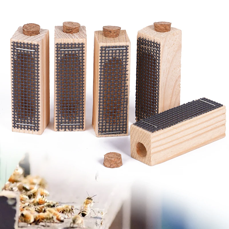 10pcs Wooden Queen Bee Cage Bee Queen Catcher Mutil-Functional Beehive Bee Cage Rearing Cage Cell Beekeeping Tools