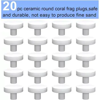 8 best sales 산호 조각 - №8