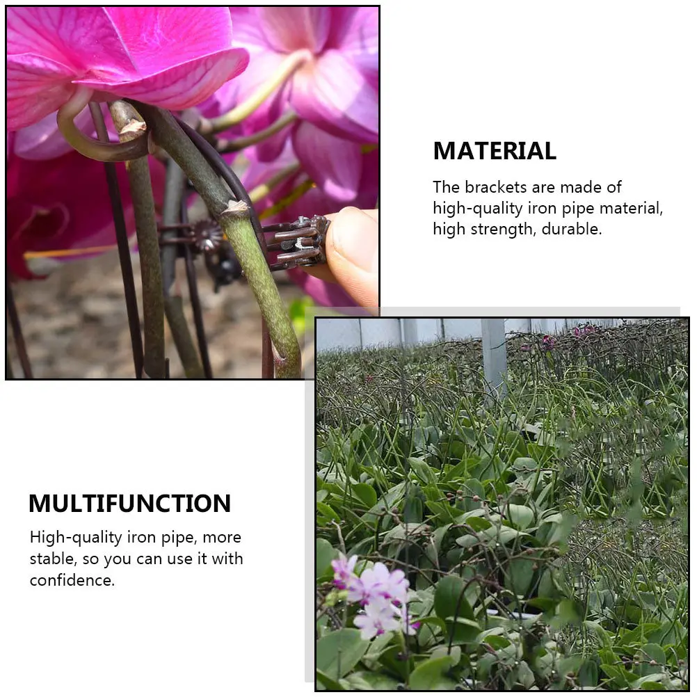 

20Pcs Phalaenopsis Bracket Set 40cm Iron Supports Reusable PP Gardening Fixing Clips for Healthy Growth Plant Fixing Clips