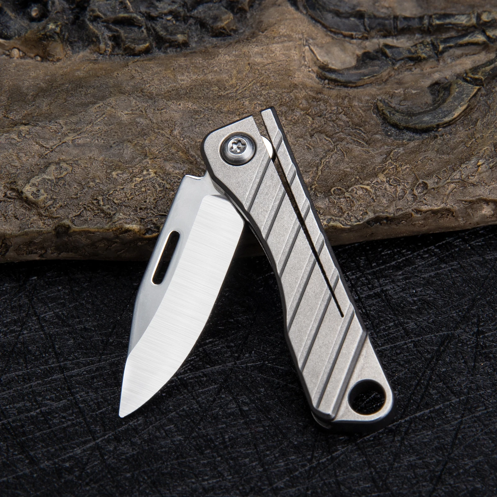 Titanium Alloy Folding Knife Unpacking Pocket Knife Portable Keychain Pendant Knife Gift Mini Cutter Knife Outdoors EDC Tool