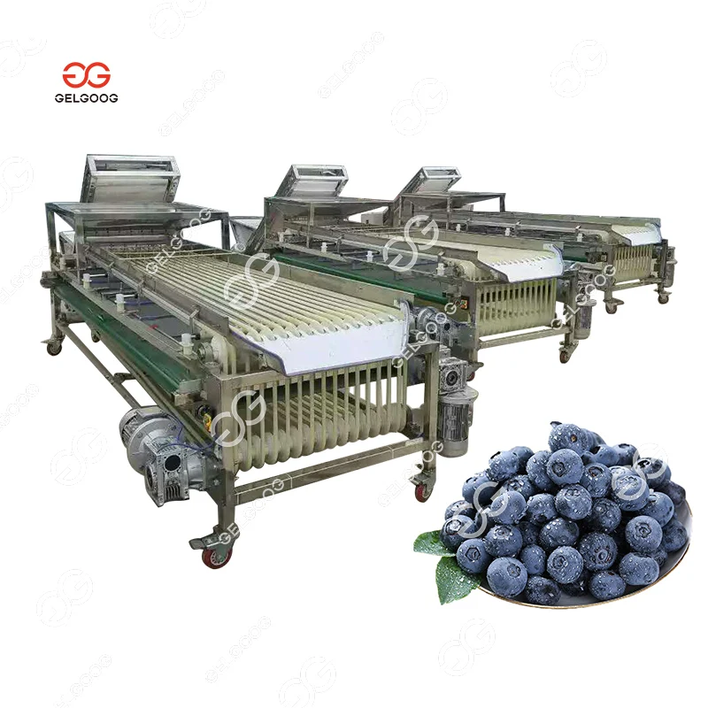 

Gelgoog Blueberry Grader Grading Machine Blueberry Sorter Machine Cranberry Strawberry Blueberry Sorter