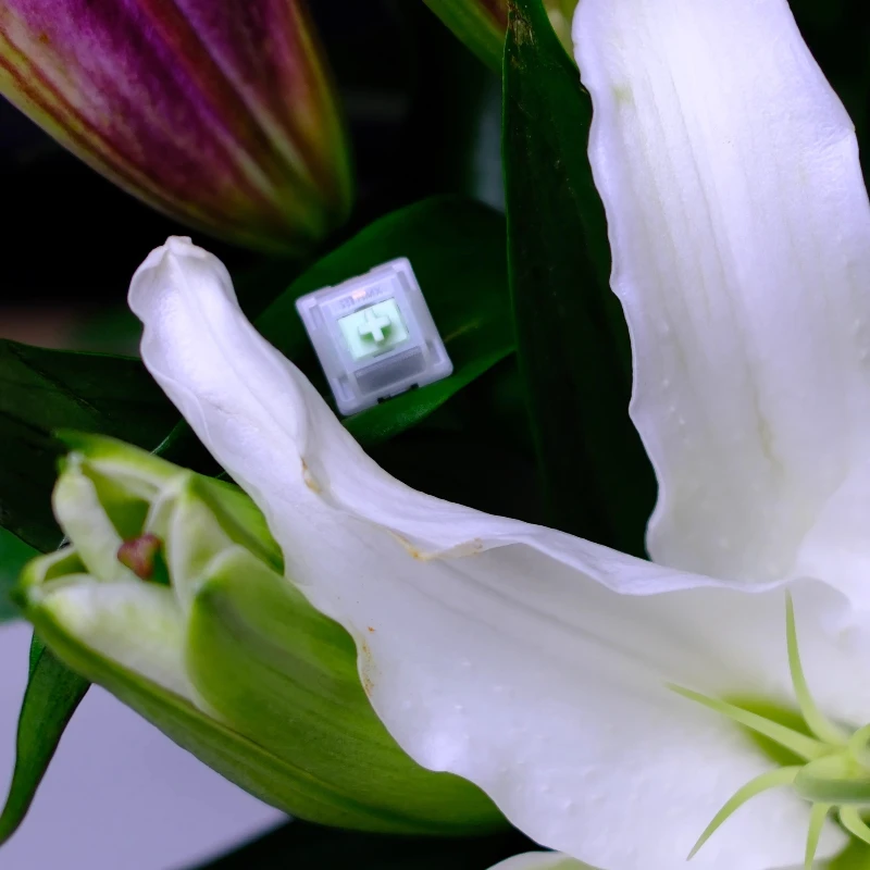 Rena Lab X HMX Jade Switch 50g/42g/37g Gaming Keyboard Shafe Customized Paragraph Mechanical keyboard Accessories