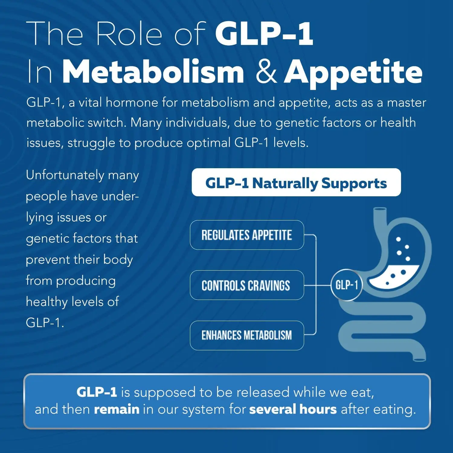 GLP Activate | Metabolism and Appetite Support - Formula Natural Support GLP1- Professional Formula -60 capsules