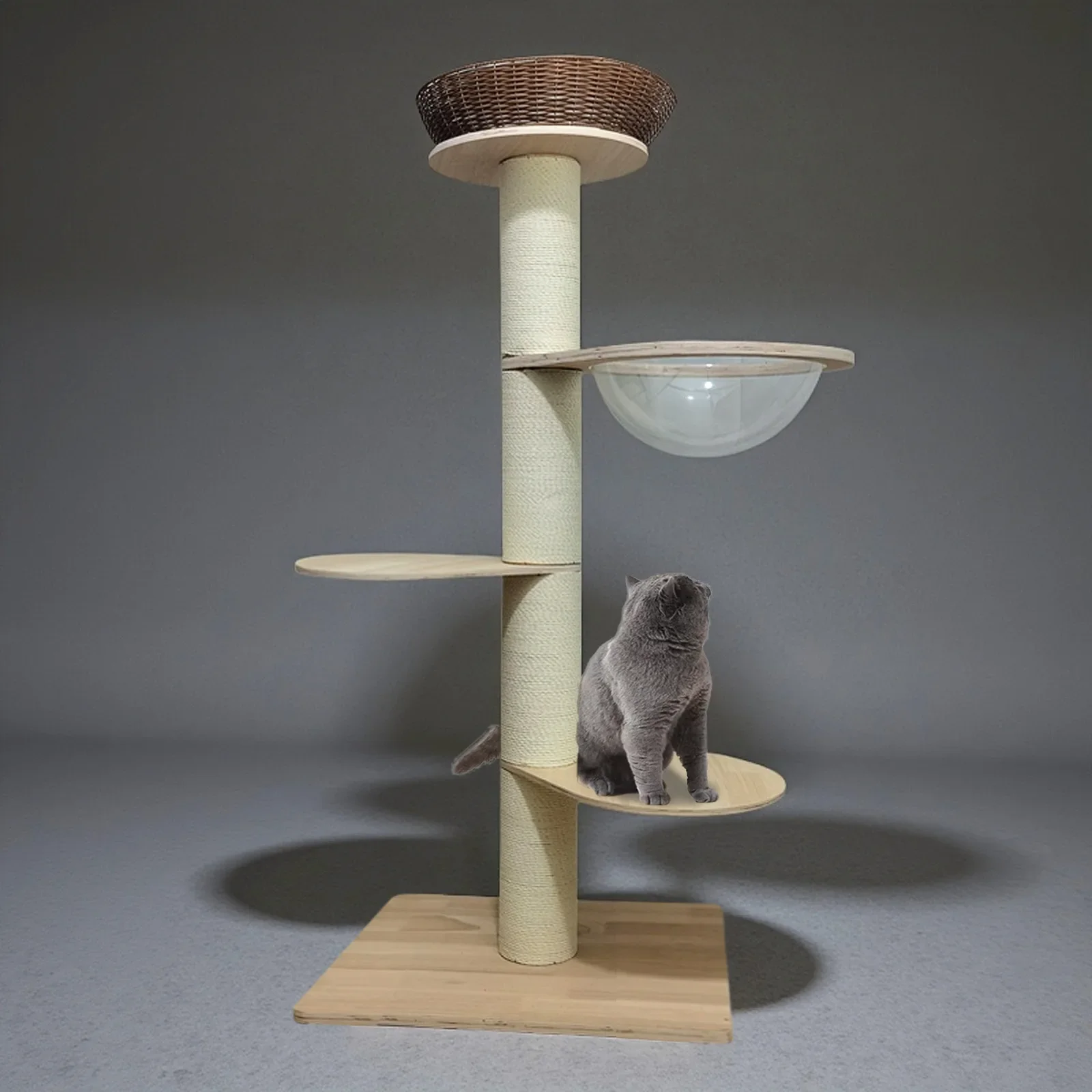 Capsule spatiale pour cadre d'escalade pour chat en bois massif