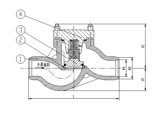 valvola di ritegno anticorrosione ad alta pressione e alta temperatura