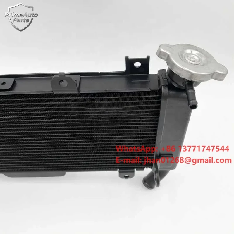CQJB Factory Motorcycle Cooling System Parts Aluminium Fe350 Radiator Motorcycle Radiator Guards