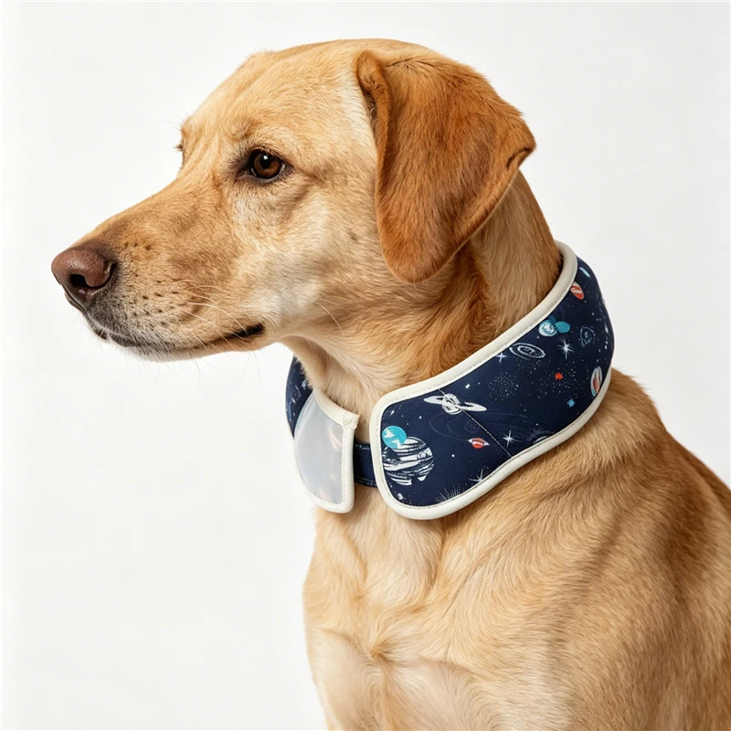 Cono Isabelino Anti-Lamido para Perros y Gatos Pequeños