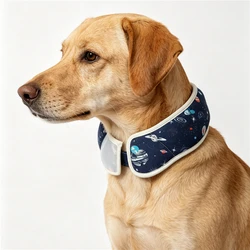Cono Isabelino Anti-Lamido para Perros y Gatos Pequeños