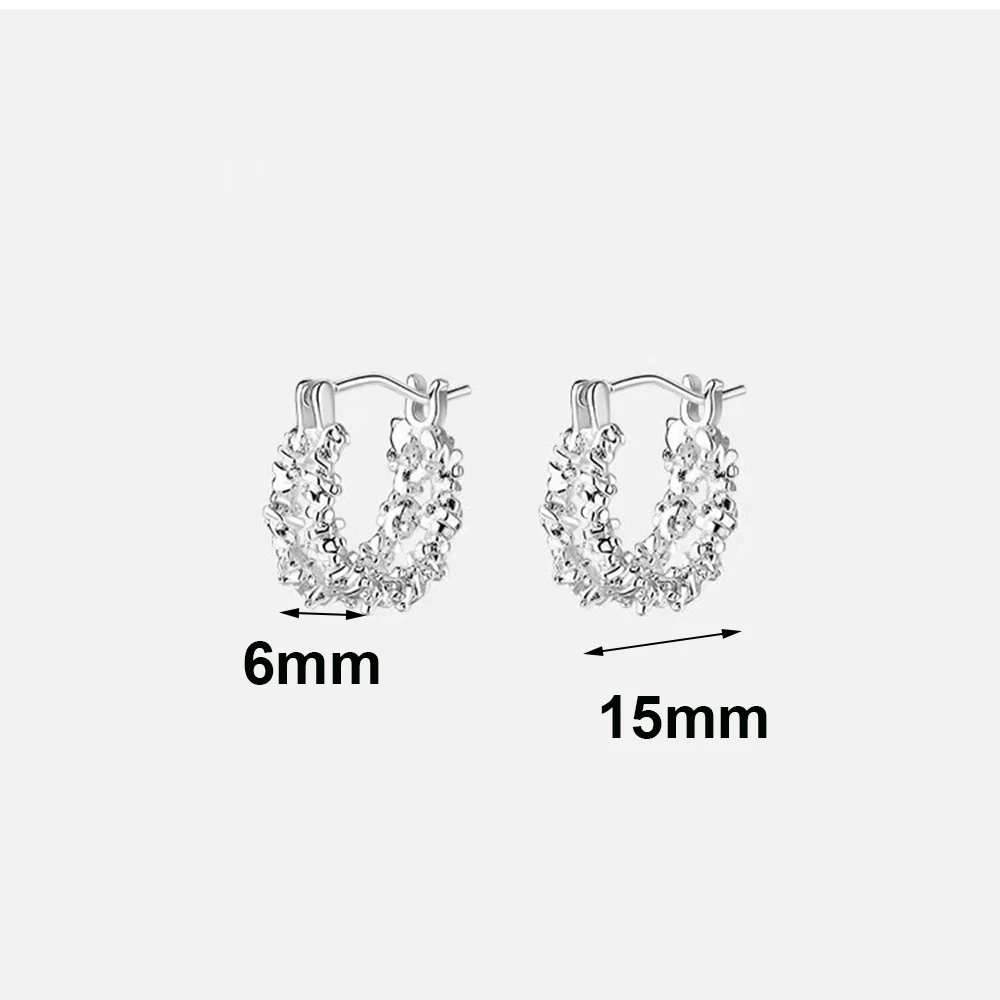 925 Silver Needle Irregular Double-layer Round Hoop Earrings For Women Classic Fine Jewelry Personality Geometric Accessories