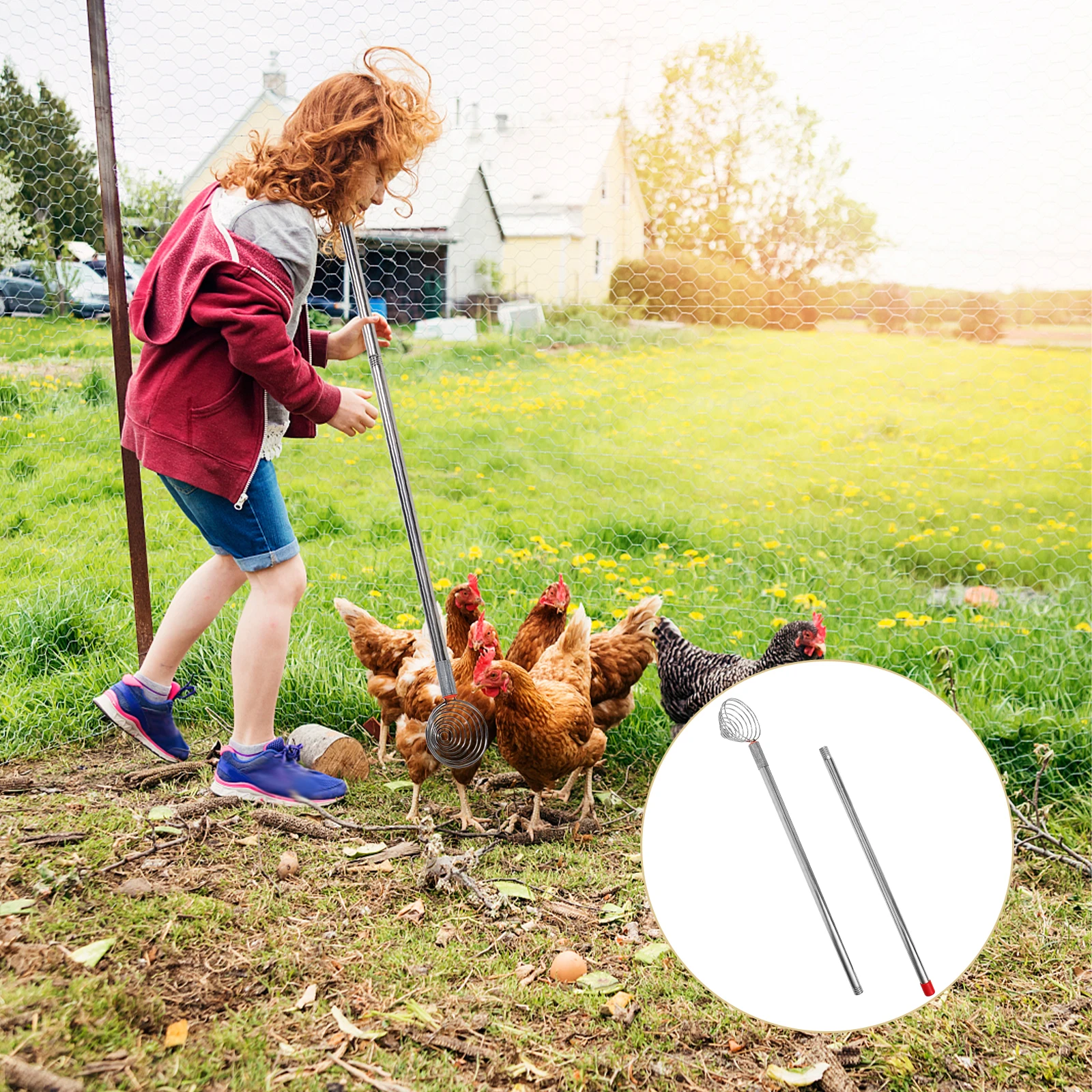 

Egg Picking Artifact up Stick Grabber Chicken Coop Collector Stainless Steel Accessories Claw with Handle Scoop Farmer Tool