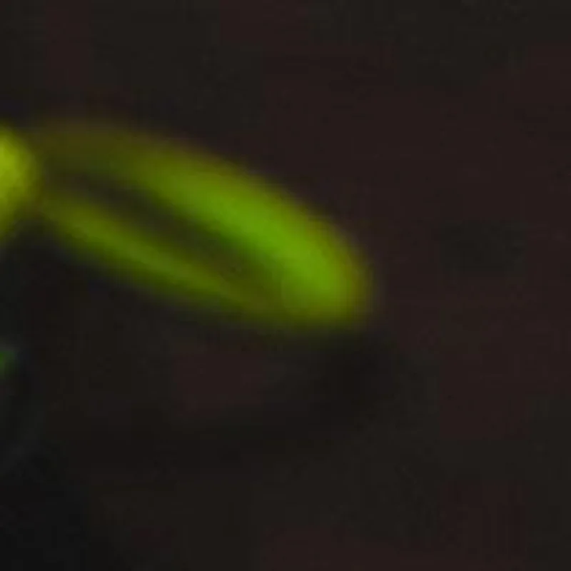 

Green Pomelo Leaf Plush Pendant Car Keyring For Dispelling Bad Luck Home Bedroom Decoration Backpack Charms Birthday Gift